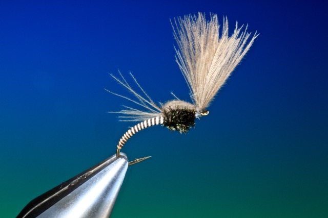 moose mane fly tying