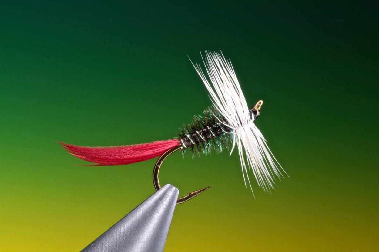 classic wet flies Fly patterns THEFEATHERBENDER